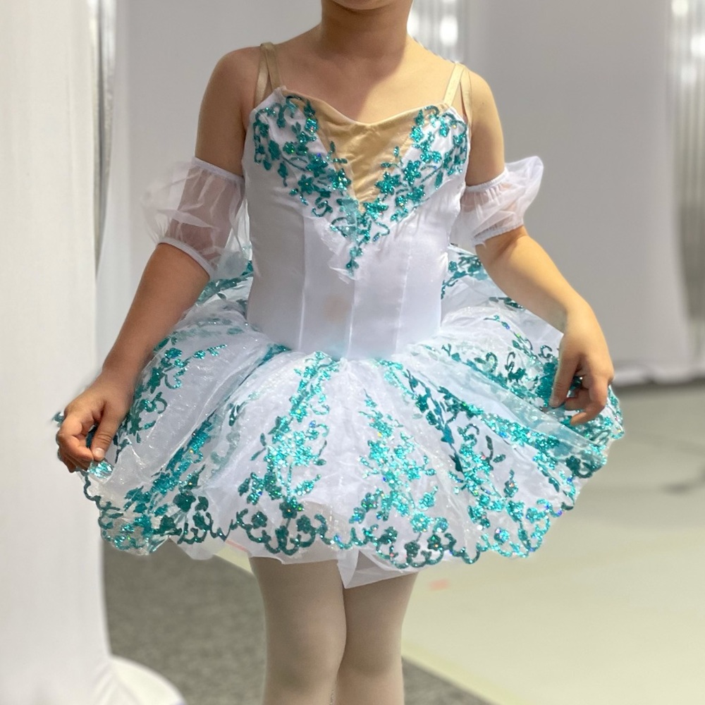 Ballet recital costume - tutu